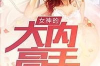 小说大内高手,都市特种兵的传奇人生