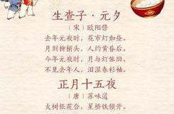 《元宵》古诗四句,诗意元宵情