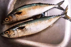 小鲅鱼,海洋美味，营养丰富的海鲜佳肴