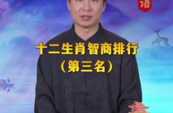 娱乐吃瓜创作的原声,揭秘娱乐圈幕后故事