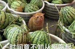 李玉刚“物化”胡歌得肺癌住院让我看到了内娱的“新型圈套”，杨子许佳琪演纣王妲己俩人澡堂调情一个被夸上天一个被骂惨及《文娱圈吃瓜大聚合421页及宣云和闺蜜迎新年豪宅内吃黑松露鱼子酱30岁活成高贵女人
